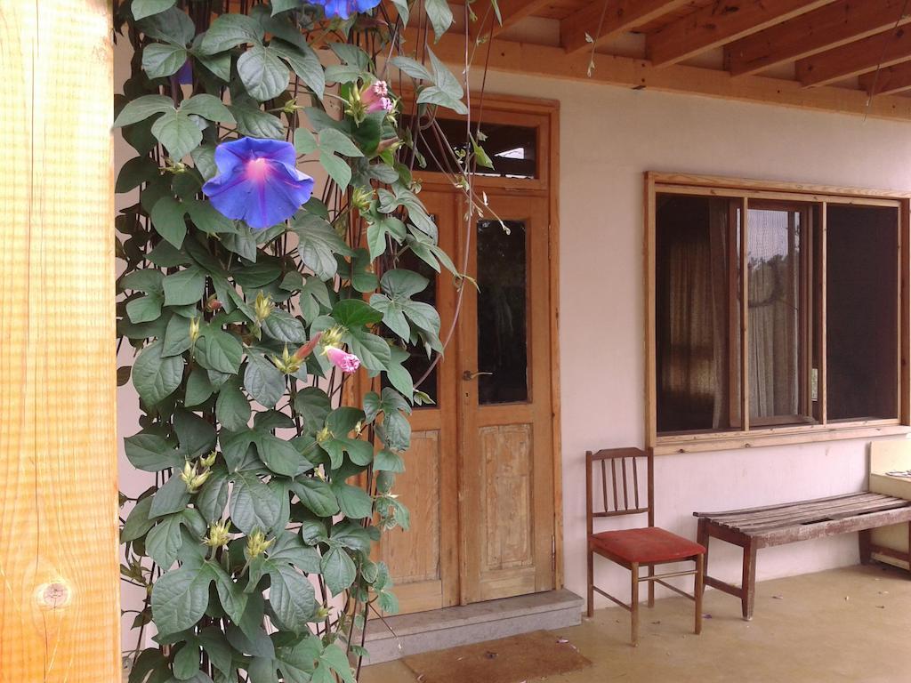 Clil Guest House Buitenkant foto